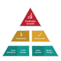 Profitable Growth 2